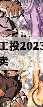 江油工投2023年债权拍卖