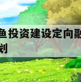 兴鱼投资建设定向融资计划