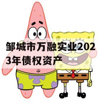 邹城市万融实业2023年债权资产