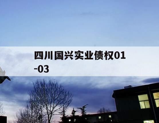 四川国兴实业债权01-03