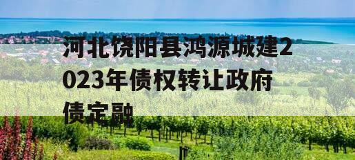 河北饶阳县鸿源城建2023年债权转让政府债定融