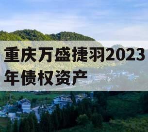 重庆万盛捷羽2023年债权资产