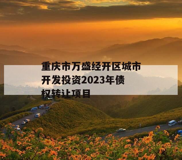 重庆市万盛经开区城市开发投资2023年债权转让项目