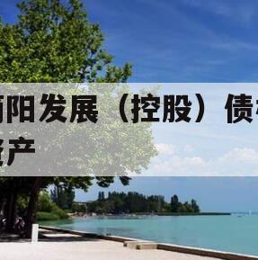 简阳发展（控股）债权资产