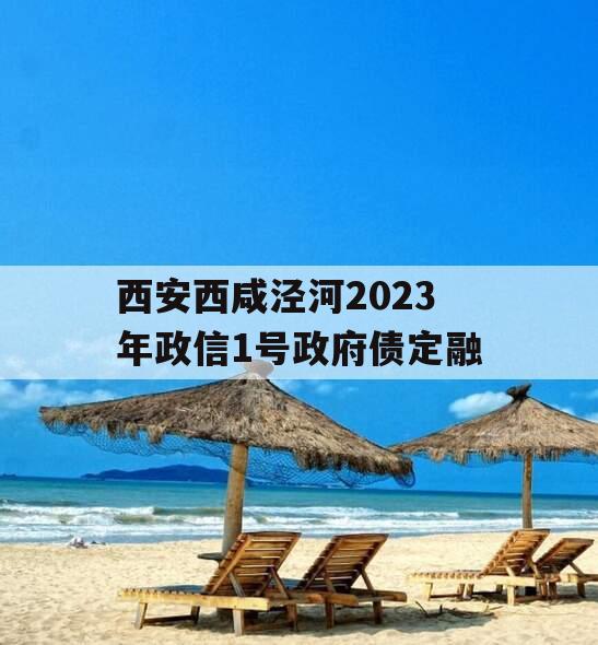 西安西咸泾河2023年政信1号政府债定融