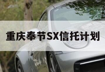 重庆奉节SX信托计划