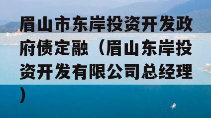 眉山市东岸投资开发政府债定融（眉山东岸投资开发有限公司总经理）