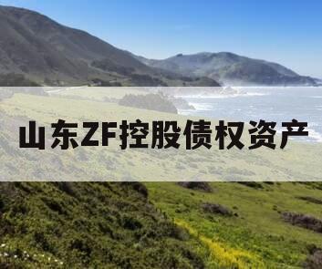 山东ZF控股债权资产