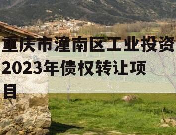 重庆市潼南区工业投资2023年债权转让项目