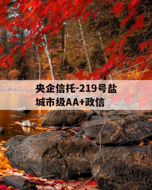 央企信托-219号盐城市级AA+政信