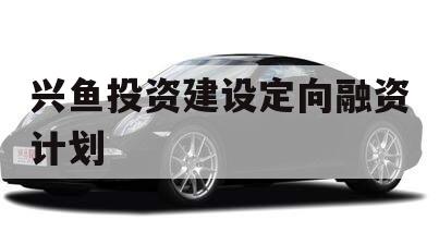 兴鱼投资建设定向融资计划
