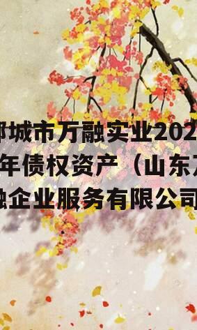 邹城市万融实业2023年债权资产（山东万融企业服务有限公司）