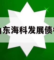 山东海科发展债权