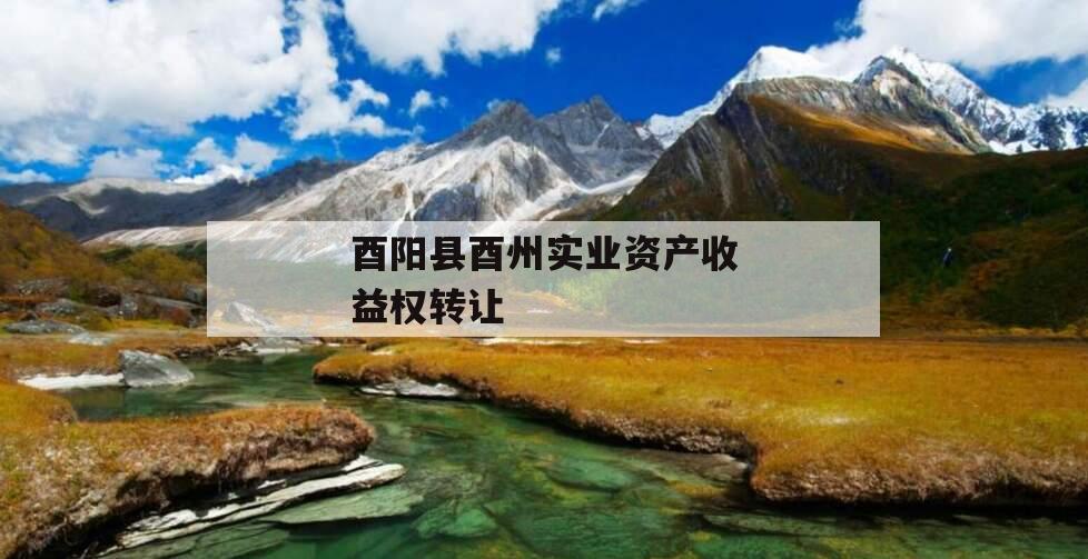 酉阳县酉州实业资产收益权转让