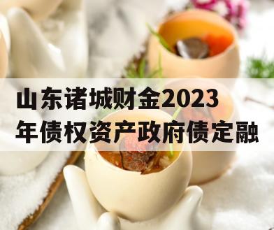 山东诸城财金2023年债权资产政府债定融