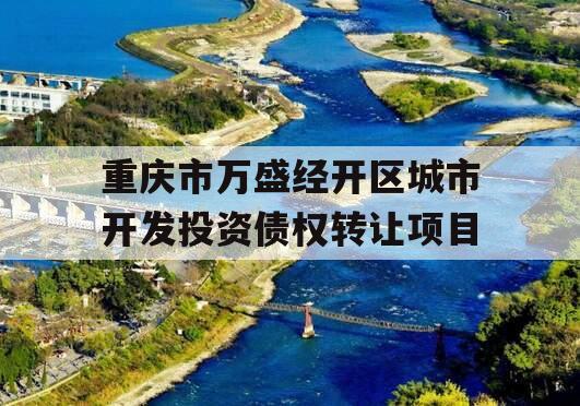 重庆市万盛经开区城市开发投资债权转让项目