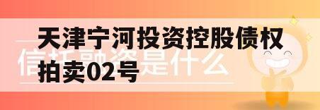 天津宁河投资控股债权拍卖02号