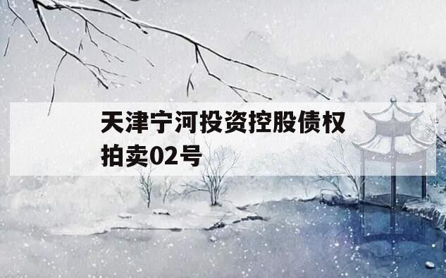 天津宁河投资控股债权拍卖02号