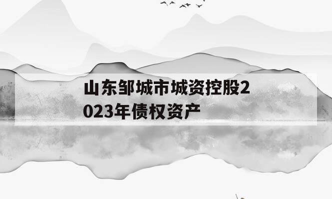 山东邹城市城资控股2023年债权资产