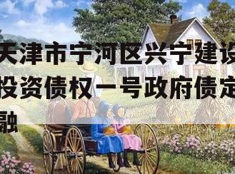 天津市宁河区兴宁建设投资债权一号政府债定融