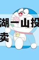 简阳两湖一山投资债权资产拍卖