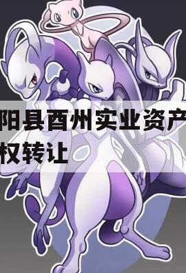 酉阳县酉州实业资产收益权转让