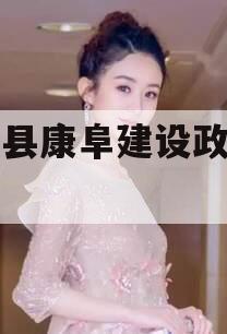 阜宁县康阜建设政府债定融