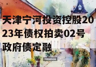 天津宁河投资控股2023年债权拍卖02号政府债定融