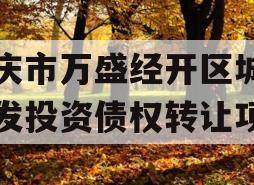 重庆市万盛经开区城市开发投资债权转让项目