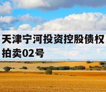 天津宁河投资控股债权拍卖02号