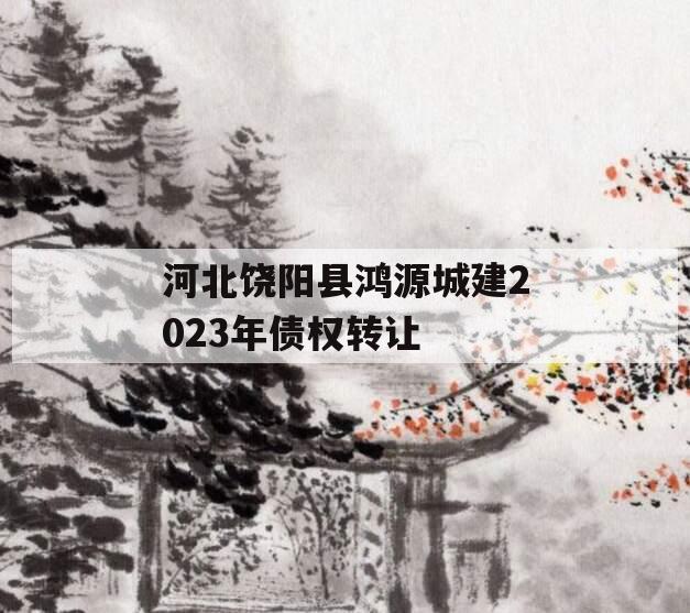 河北饶阳县鸿源城建2023年债权转让