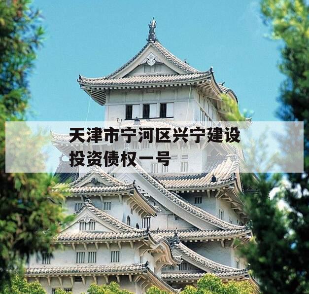 天津市宁河区兴宁建设投资债权一号