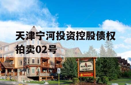 天津宁河投资控股债权拍卖02号