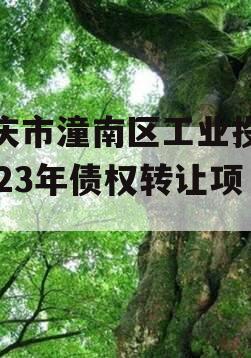 重庆市潼南区工业投资2023年债权转让项目