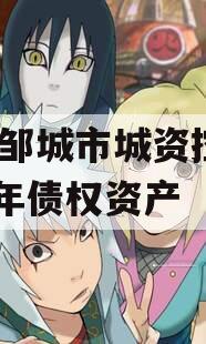 山东邹城市城资控股2023年债权资产