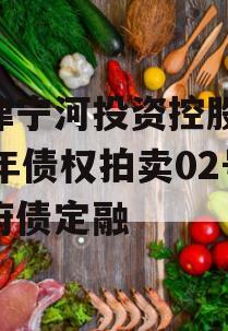 天津宁河投资控股2023年债权拍卖02号政府债定融