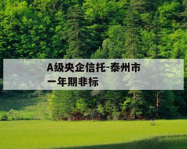 A级央企信托-泰州市一年期非标