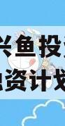 2022兴鱼投资建设定向融资计划
