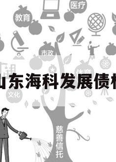 山东海科发展债权