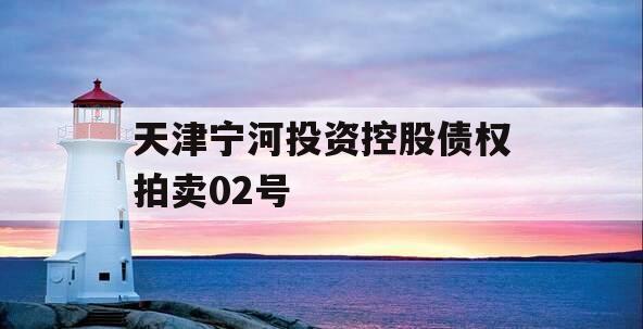 天津宁河投资控股债权拍卖02号