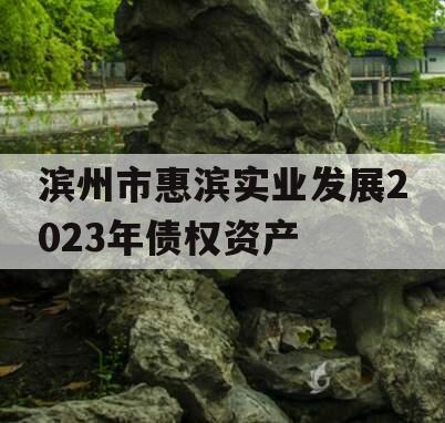 滨州市惠滨实业发展2023年债权资产