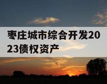枣庄城市综合开发2023债权资产