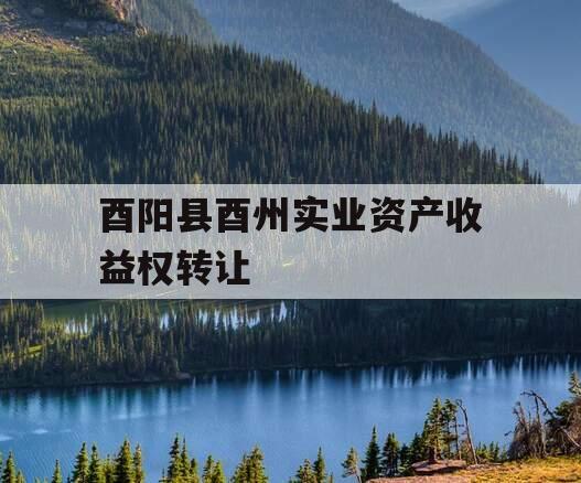 酉阳县酉州实业资产收益权转让