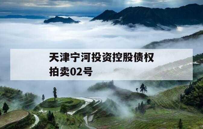 天津宁河投资控股债权拍卖02号