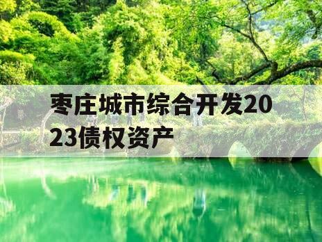 枣庄城市综合开发2023债权资产