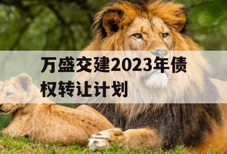 万盛交建2023年债权转让计划
