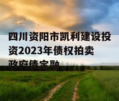 四川资阳市凯利建设投资2023年债权拍卖政府债定融