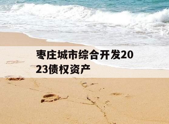 枣庄城市综合开发2023债权资产