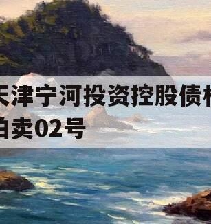 天津宁河投资控股债权拍卖02号