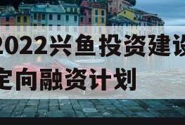 2022兴鱼投资建设定向融资计划